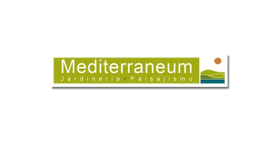 mediterraneum-logo
